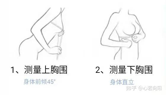 如何选择适合自己的内衣_内衣外穿女明星_女士内衣选购攻略